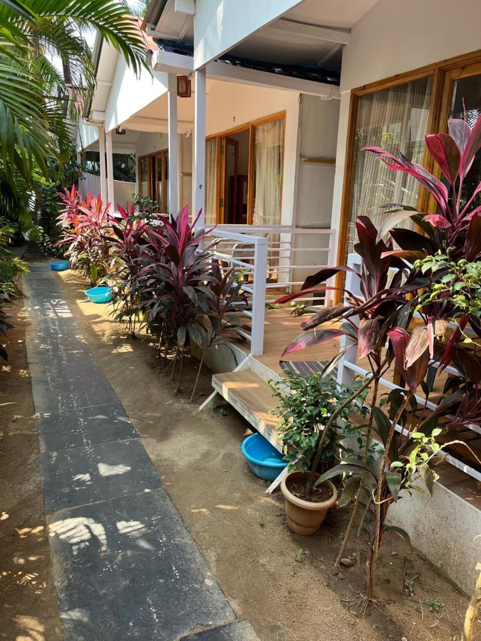 Royal Castle Resort Palolem, 卡纳科纳 外观 照片